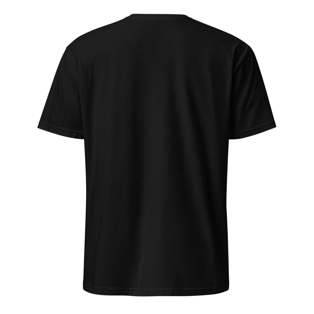 Foundry North Script T-Shirt in Black – back view