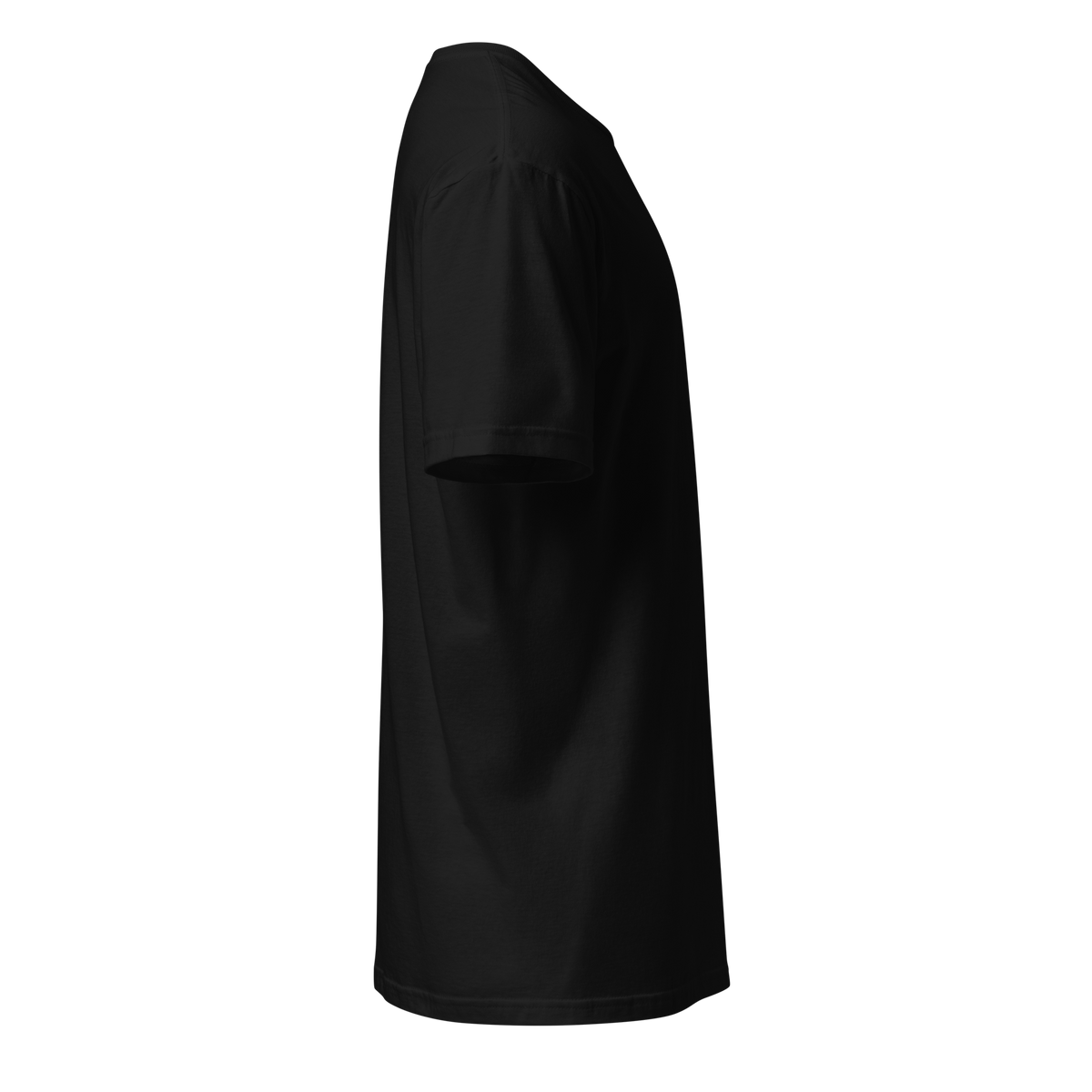 Foundry North Script T-Shirt in Black – right view