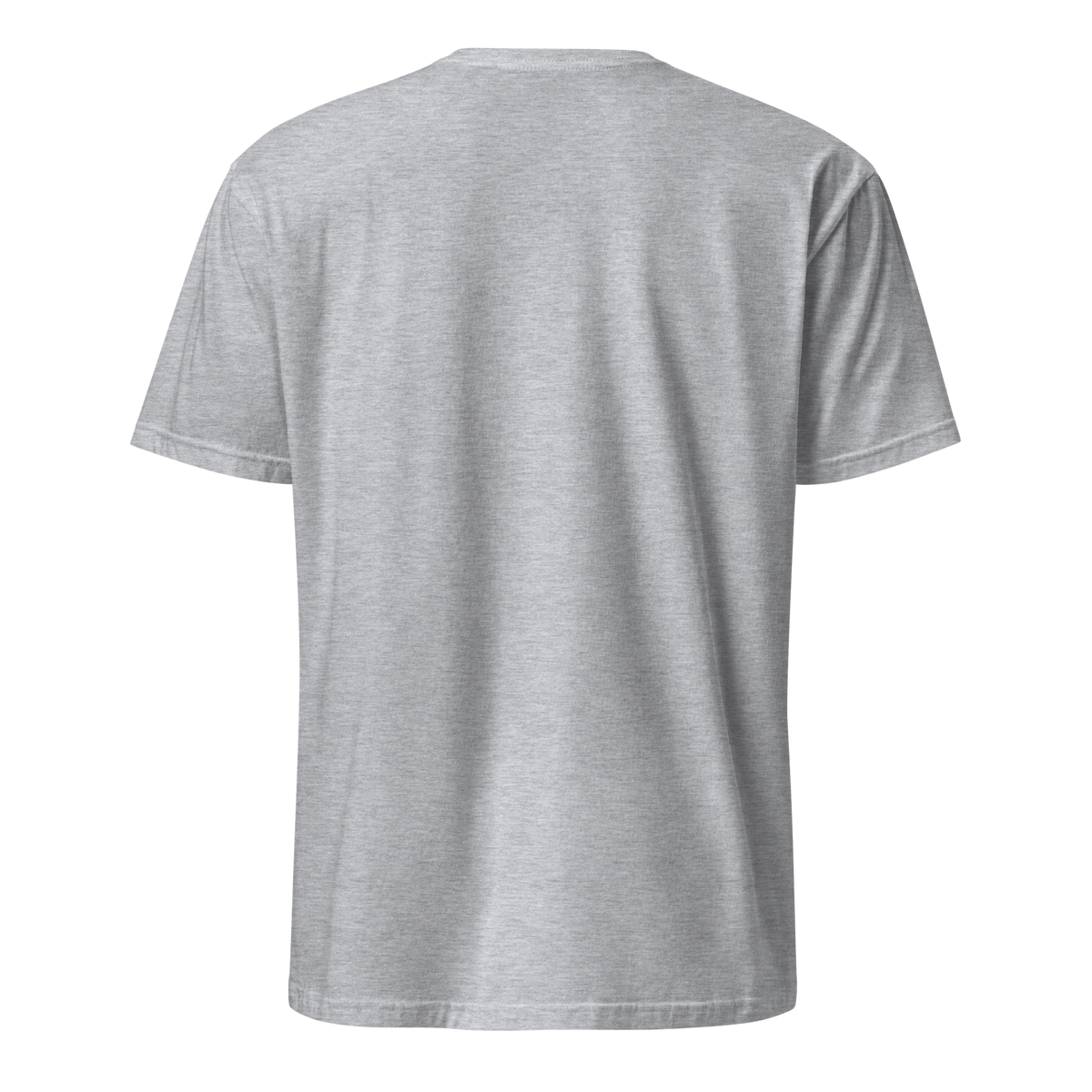 Foundry North Script T-Shirt in Sport Grey – back view