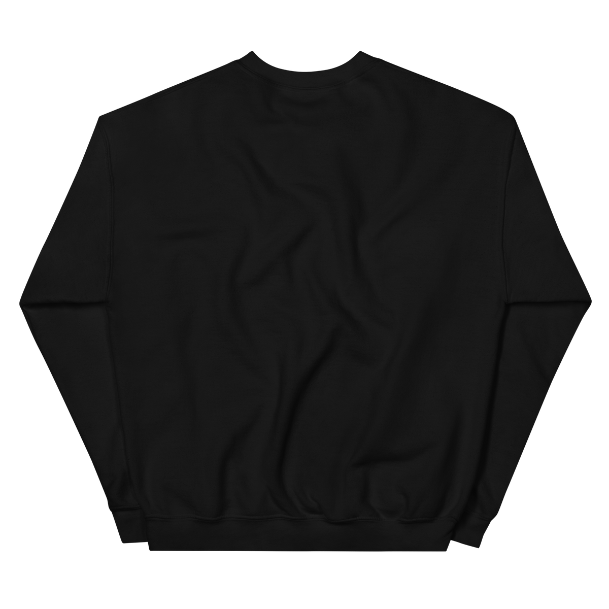 Foundry North Script Crewneck Sweatshirt in Black – back view